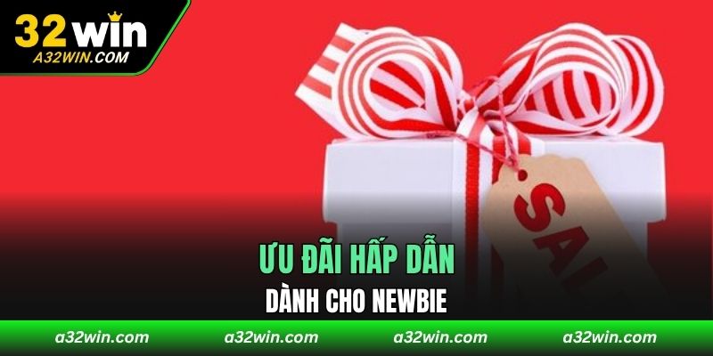 Ưu đãi hấp dẫn dành cho newbie